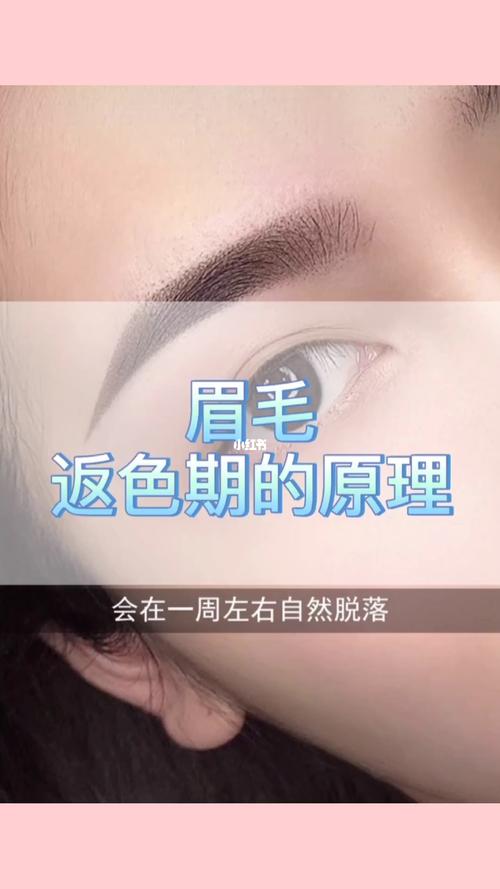 眉毛反色期原理_眉毛_纹绣_美妆_医美整形