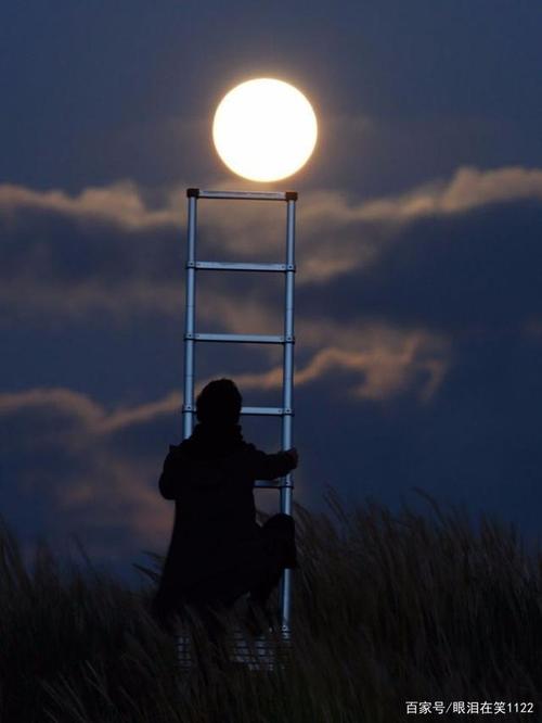 太阳与月亮的爱情