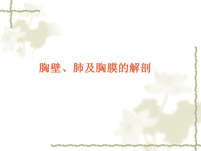 胸壁肺及胸膜的解剖