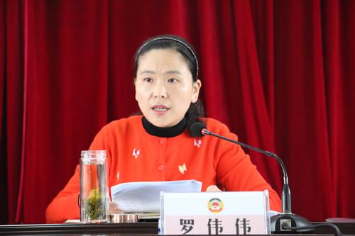 副区长罗伟伟讲话