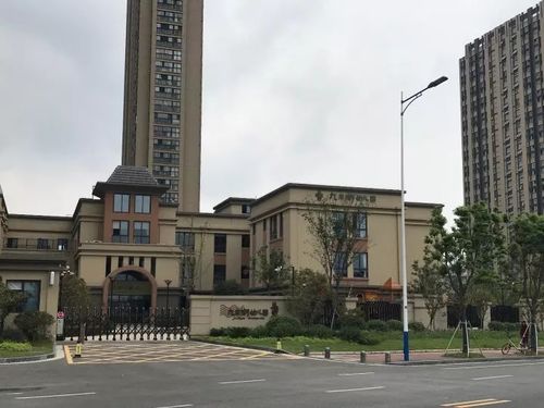 (九龙湖幼儿园,就在保利中央公园对面)