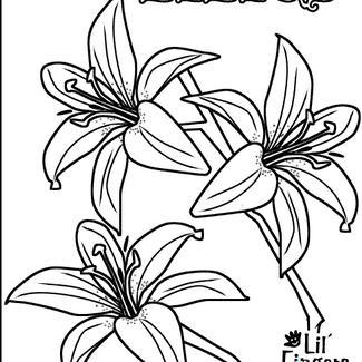 百合花怎么画