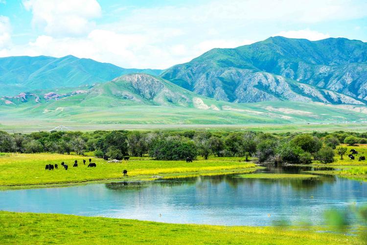甘南超值得去的大草原,这里的湿地风景治愈人心,收藏下次去!