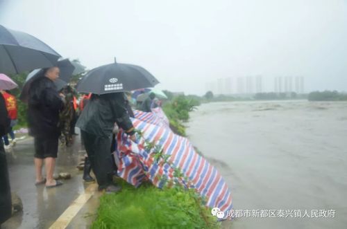 区委书记许兴国到泰兴镇亲临一线指挥抗洪抢险