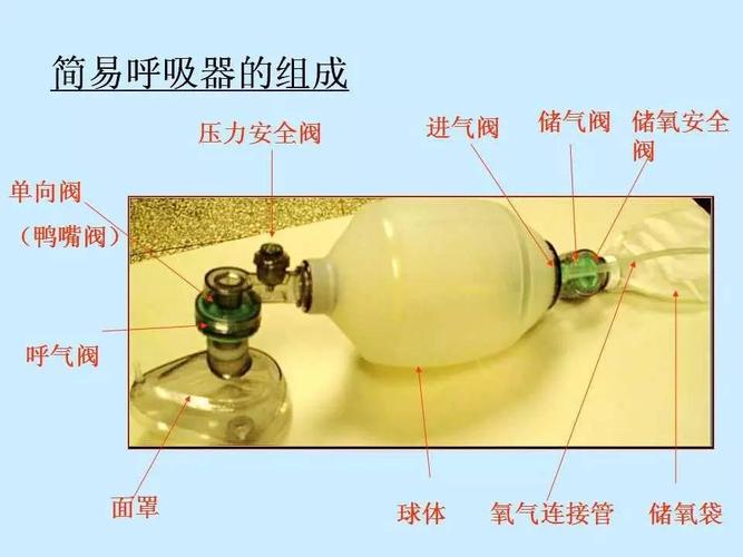简易呼吸囊临床应用/附视频及考核标准