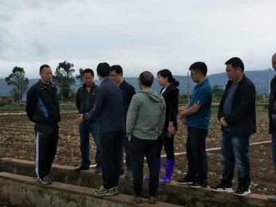 九龙街道工作简讯   5月5日上午,通海县委卢维江书记,常伟副县长和