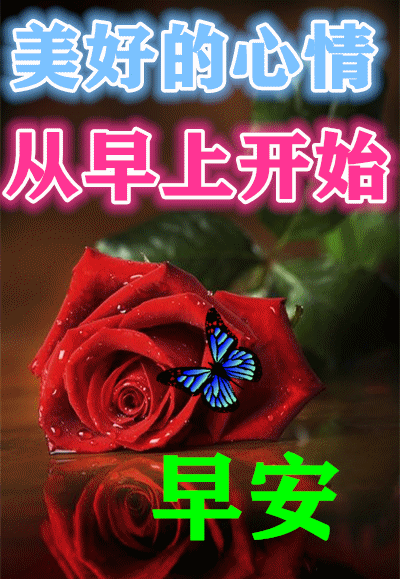 下午好2021年精美祝福表情包早上好下午好生活好