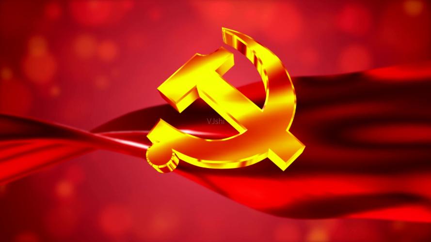 党徽- 国内元素视频素材 - www.vjshi.