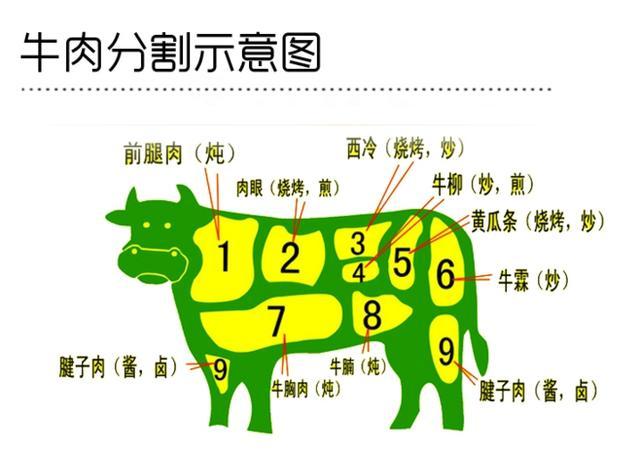 请参考餐馆的部位分割图 这个分割图和标准的牛肉的分割方式不一样