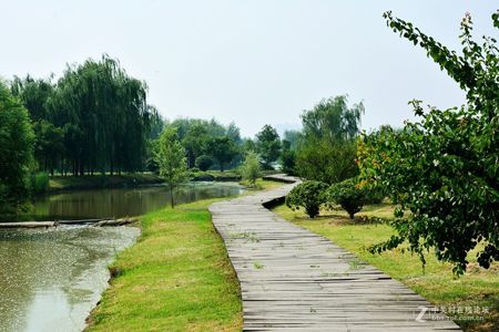 位于灞河与渭河交汇口区域,毗邻泾渭湿地省级自然保护区.