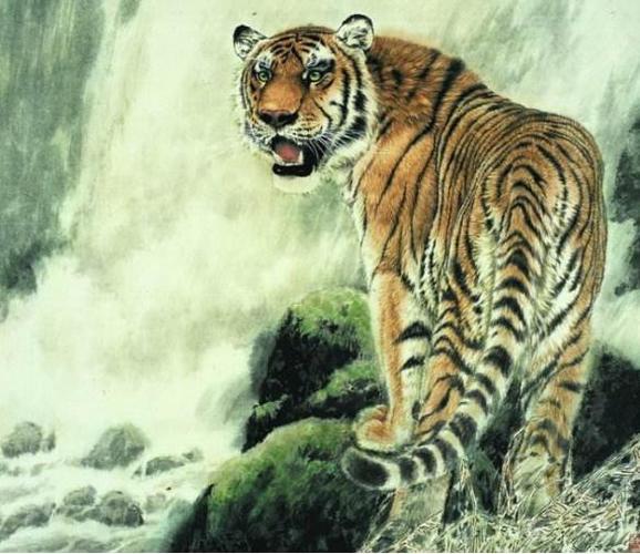 74年属虎2022年运势如何74年女虎2022年运势如何