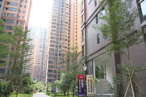 云星钱隆江南实景图-南宁搜狐焦点网