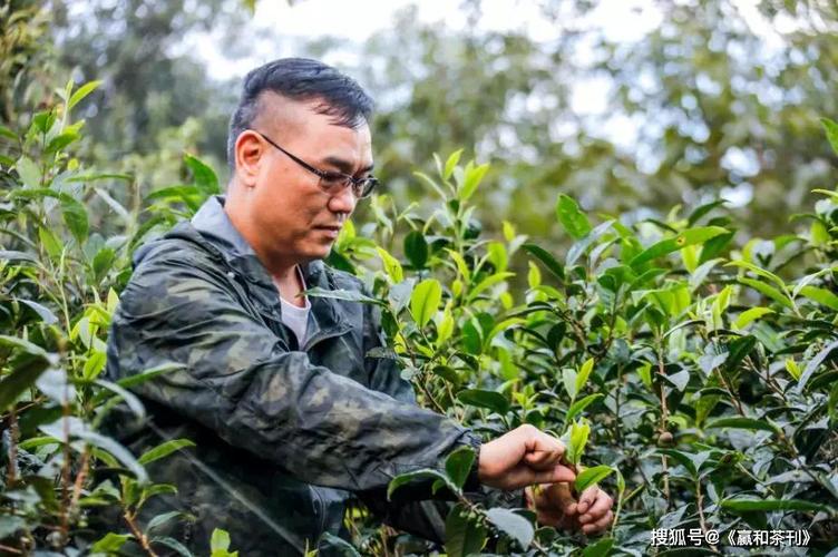 盛典赢和2019中国茶行业影响力领袖茶人邓国