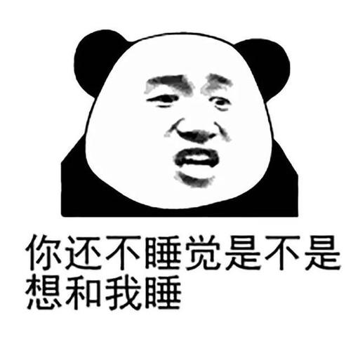 熊猫头表情包:你不睡觉,是不是想和我睡呀?