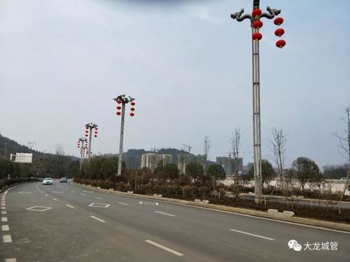 建监察大队组织营造新春氛围,分别在金龙大道,飞龙大道,龙凤大道,320
