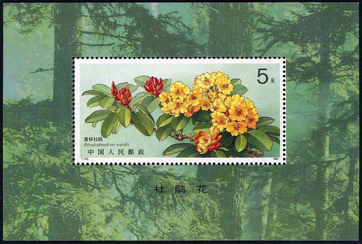 花卉题材邮票整理 我所喜欢的 第20张