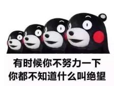 文字控 来碗毒鸡汤 负能量语录