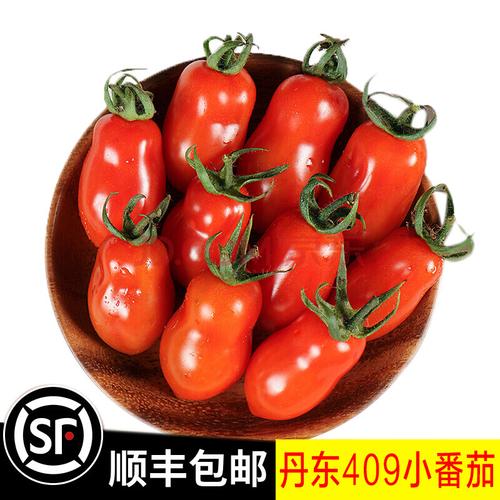 (顺丰)小番茄 东北丹东409小柿子 新鲜圣女果 铁皮水果 3斤