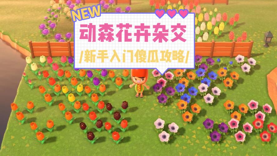 动森|新手入门:一帖搞定花卉杂交_花卉_动森_美国自由