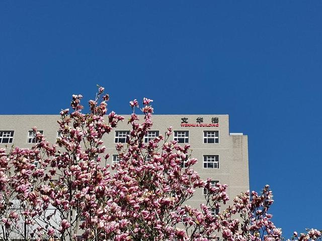 高考倒计时中央民族大学我们与九月只差一个你