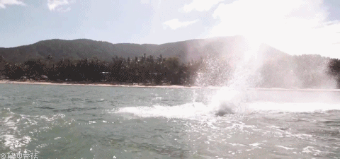 真正的浪里白条