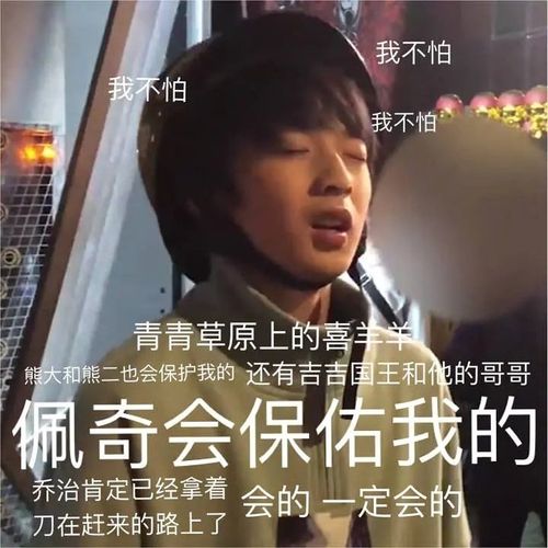 刘耀文 给你找了个表情包