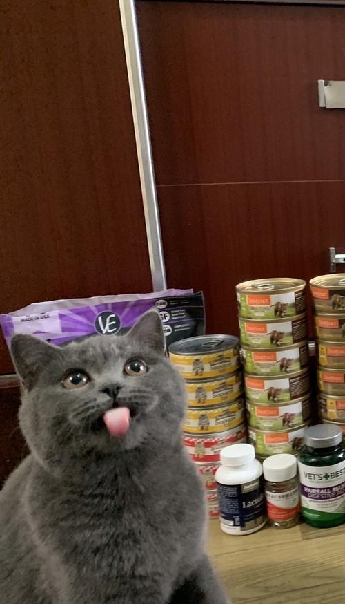 猫猫吐舌头真的好可爱