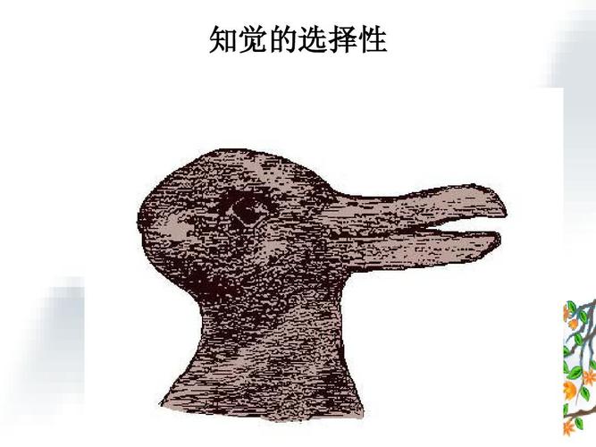 认知流派的人格理论 知觉的选择性