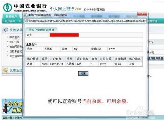 怎么用电脑查农业银行卡上的余额,有开通网银.