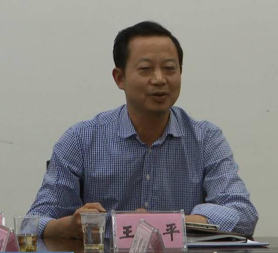 王小平