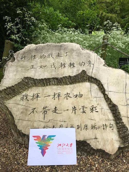 丨武林广场的音乐喷泉将为浙大百廿校庆开启专场,奏唱校歌!