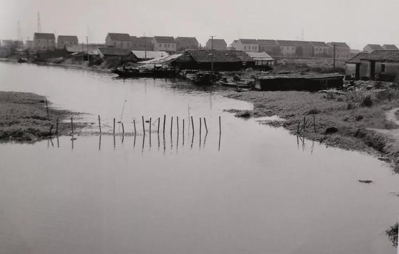 一组珍贵老照片,带你见证园区24年变迁!