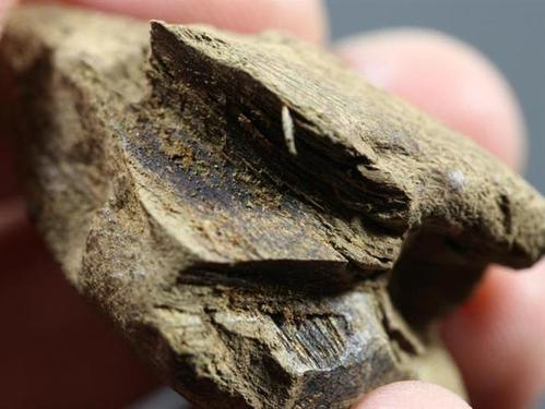 其价格也在1000元每克以上,想了解更多有关于沉香还有奇楠的知识请