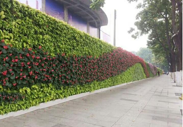 广东绿化工程绿色植物花墙室外景观装饰立体垂直绿化