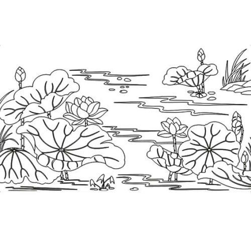 荷花荷叶池塘简笔画