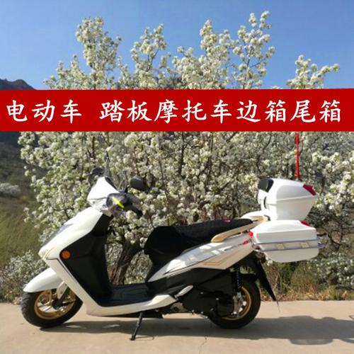 摩托车边箱 踏板车 挂箱 电动车侧边箱通用改装件摩托车尾箱