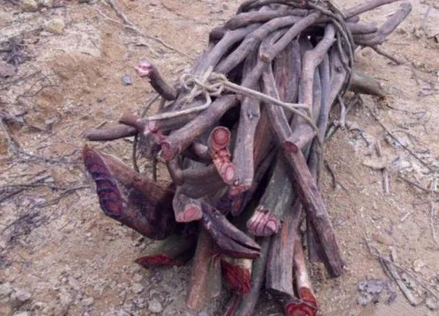 鸡血藤的功效与作用鸡血藤怎么吃效果好