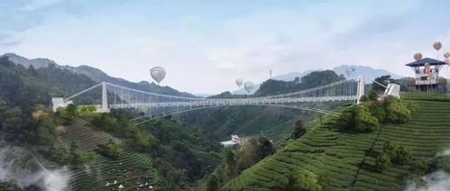 览群山,采春茶,登5d玻璃桥,来昭平南山茶海教你这么玩!