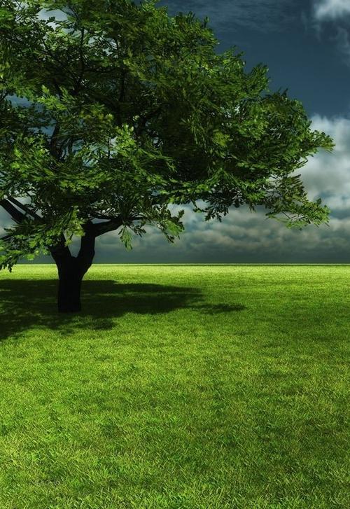 意境大树独照手机高清壁纸 (1/1)