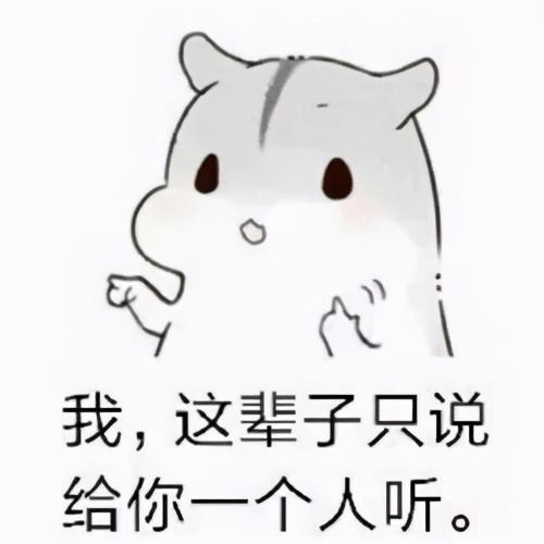 真仓鼠撩妹表情包整套萌图全是套路