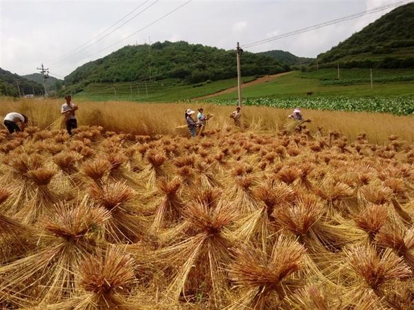 二塘镇(贵州省威宁县二塘镇) - 搜狗百科