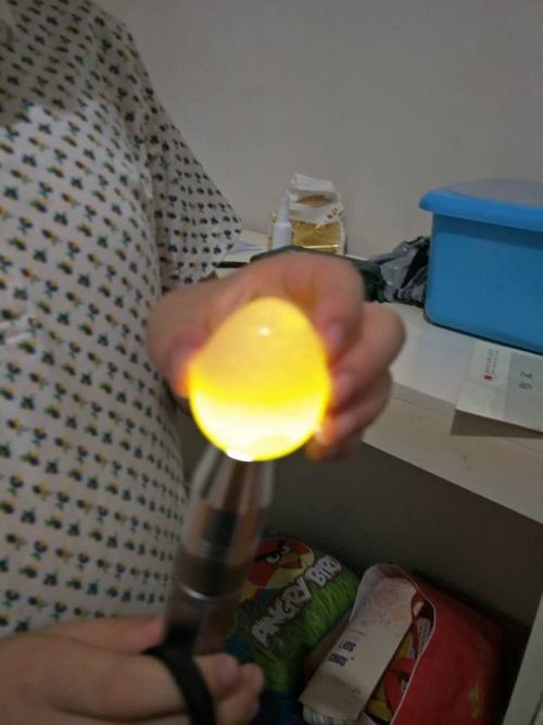 孵小鸡观察记录