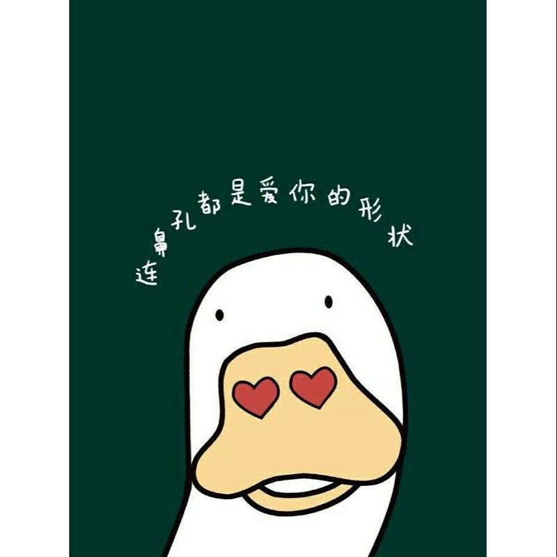ok鸭壁纸 加油鸭壁纸 爱你鸭壁纸 情侣头像卡通可爱