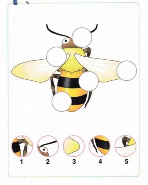 幼小衔接视知觉能力视觉填充能力——人和街道中心幼儿园大班线上活动