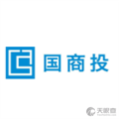 国商投控股有限公司