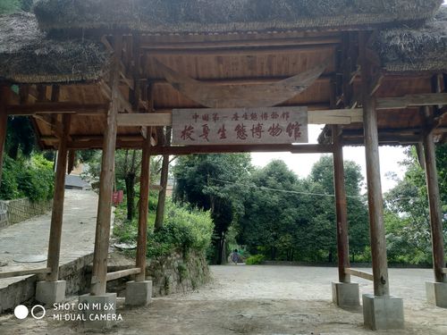 六枝梭嘎长角苗