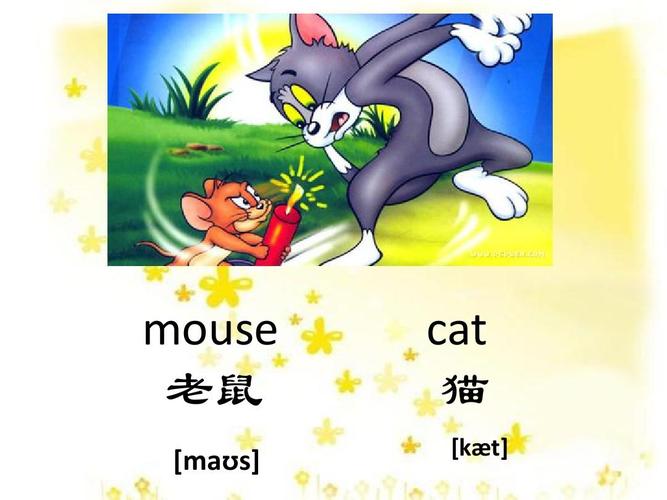 初中低年级常用的英语单词,便于学生的学习 mouse 老鼠 *ma s  cat 猫