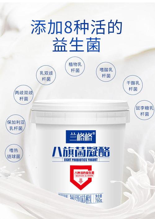 兰格格八旗菌凝酪 760g 雪原八旗菌凝酪大桶酸奶内蒙古酸奶 2桶