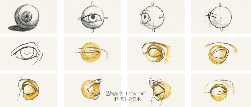 《五官形体结构——眼睛》 —"停课不停学"教学案例