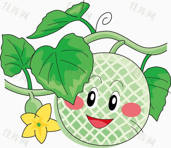 矢量哈密瓜表情_卡通手绘_1687*1464px_编号5813593